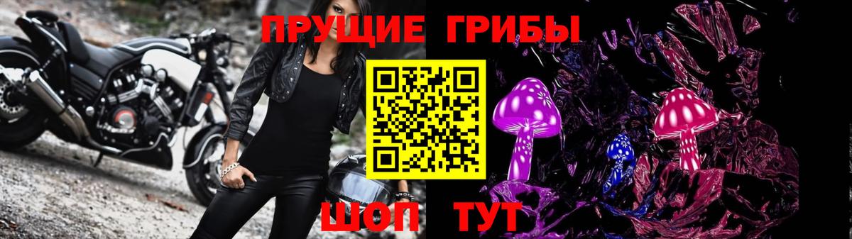 Смоленск  Псилоцибиновые грибы GOLDEN TEACHER  Вход с VPN 
